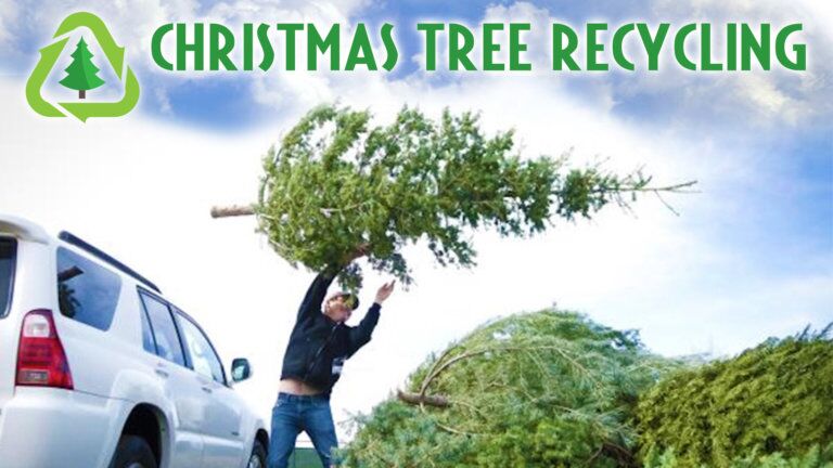 2024 Christmas Tree Recyling - Round Rock Residents - Round the Rock