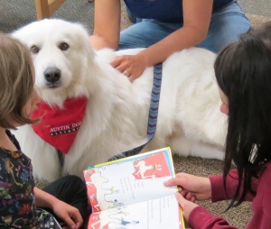 Bow Wow Read to a therapy dog