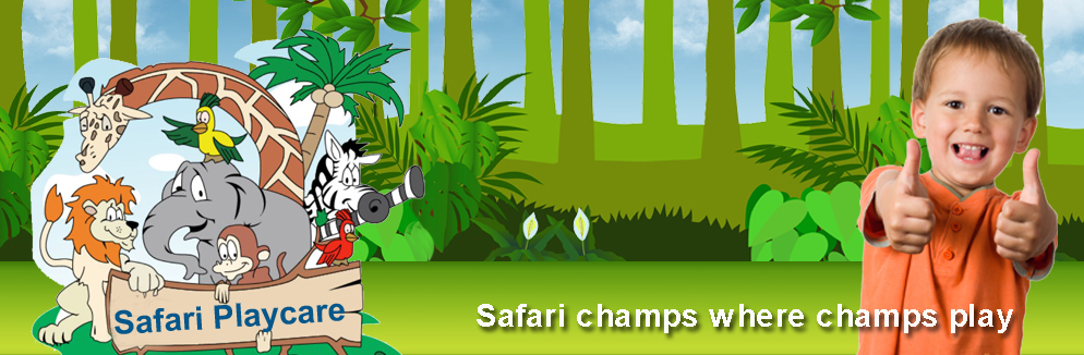 safari champ