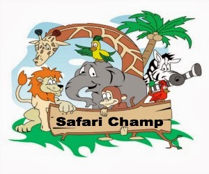 safari logo sidebar
