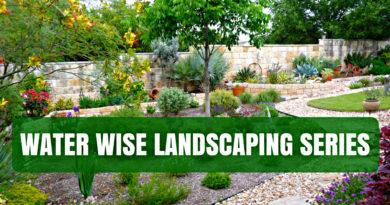 Water Wise Landscaping Series