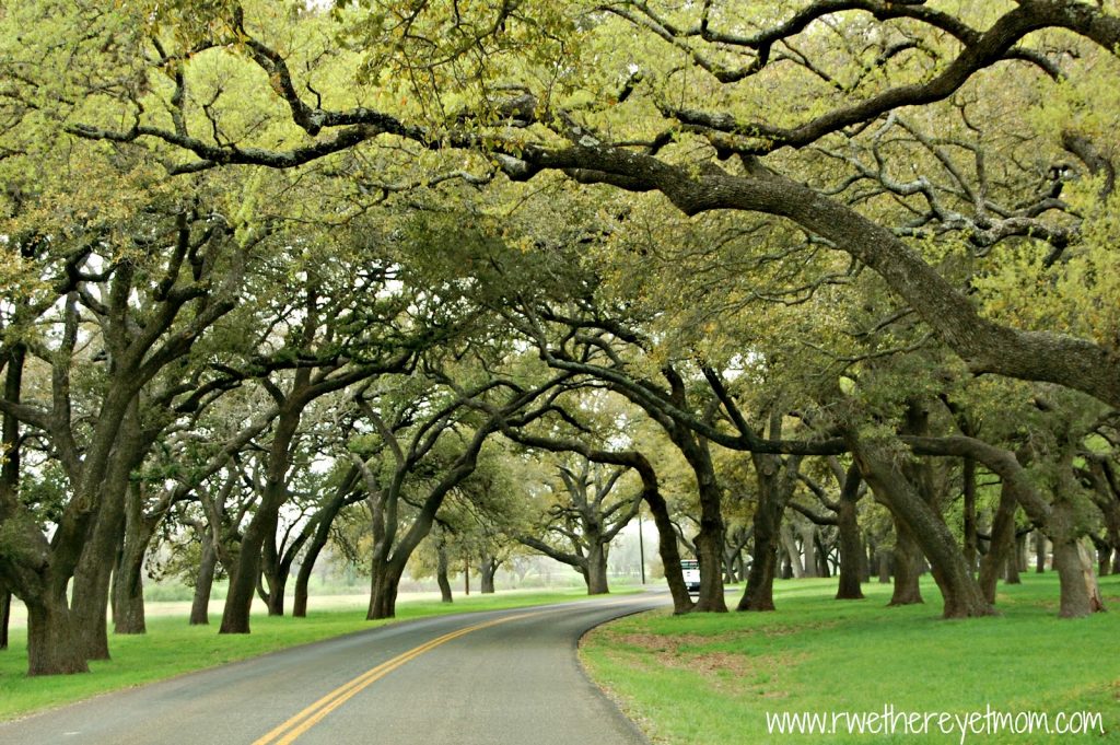 10 Fall Getaways from Round Rock - LBJ Ranch 