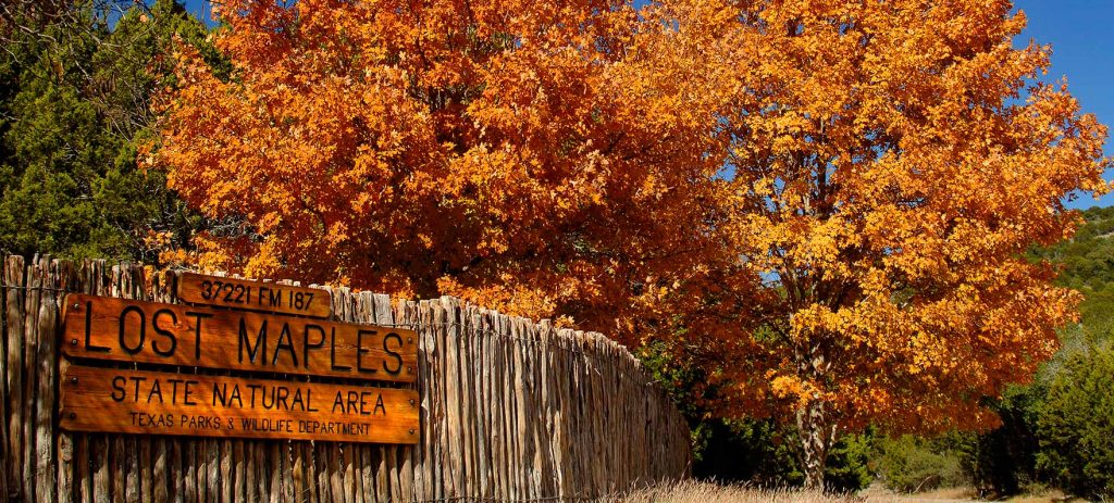 10 Fall Getaways from Round Rock - Lost Maples State Natural Area