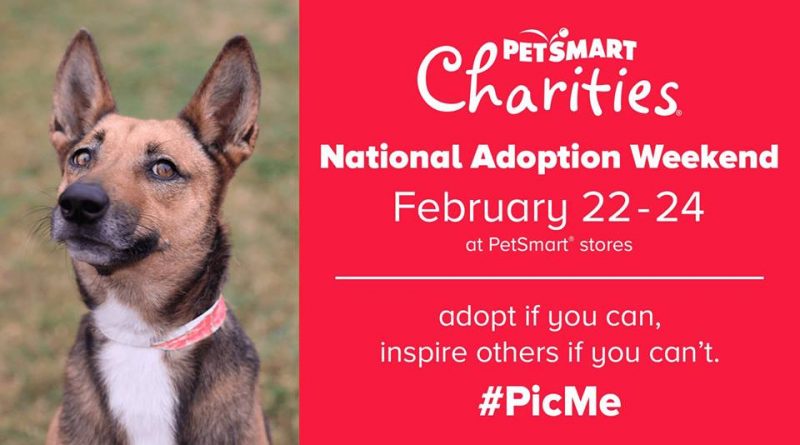 PetSmart Charities' hosts adoption event for National Adoption Week