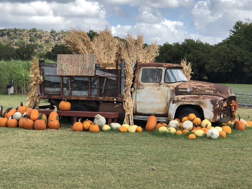 Fall Farms in Central Texas