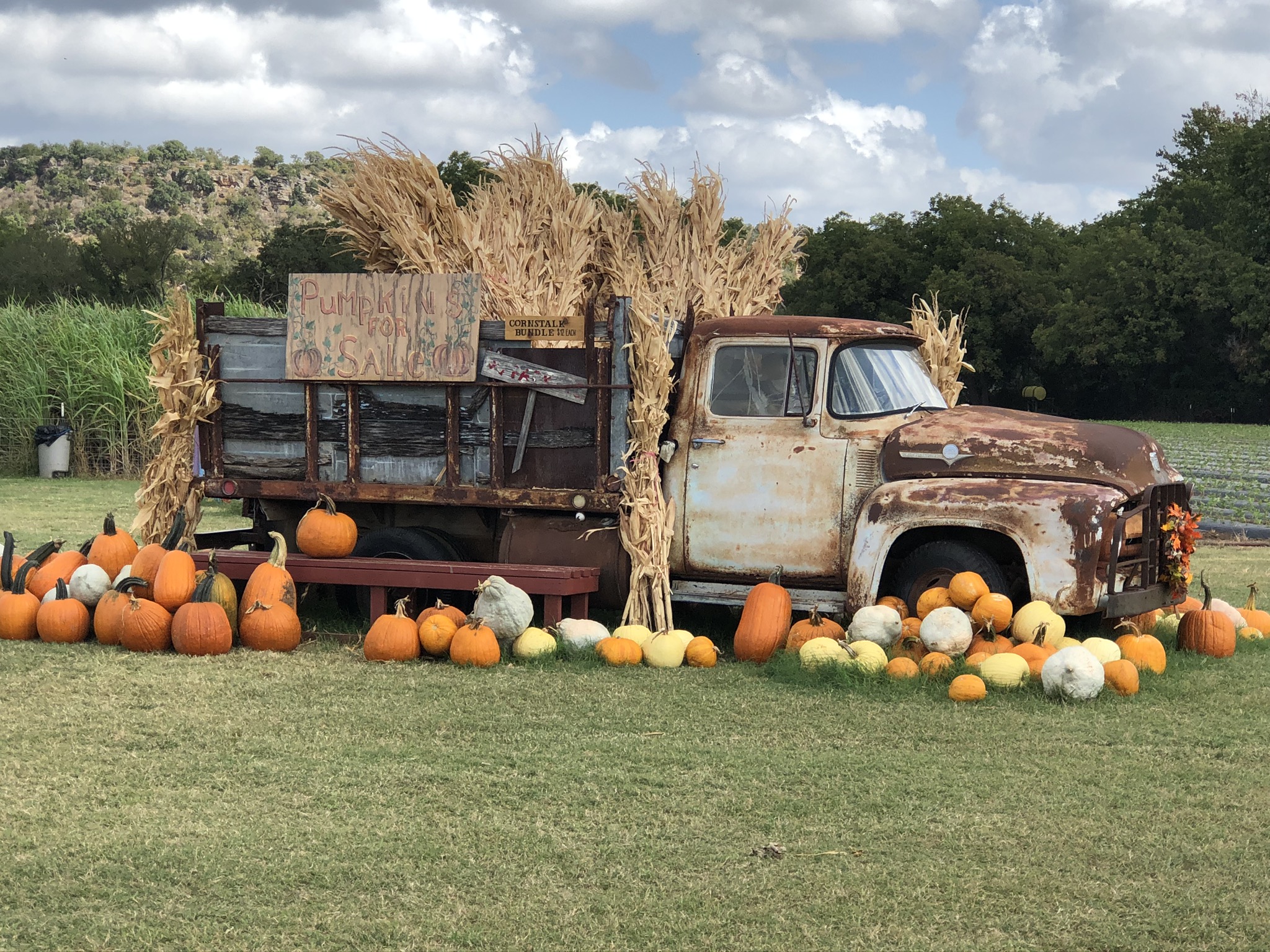 Best Farms In East Texas - ACCDIS English Hub