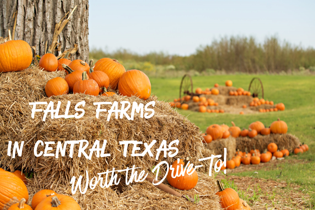 Fall Farms in Central Texas