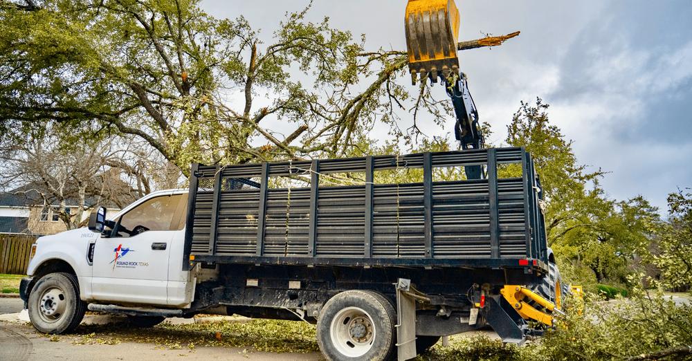 Round Rock Brush Collection Update Round the Rock