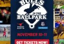 Bulls in the Ballpark Returns this November