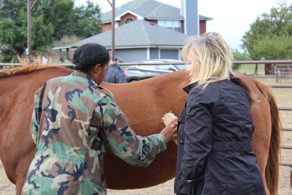 ROCK - Veteran w/horse