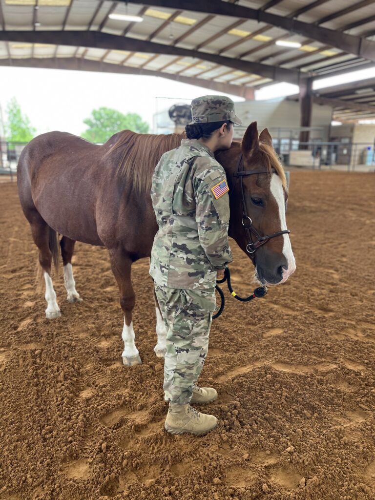 ROCK - Veteran w/horse