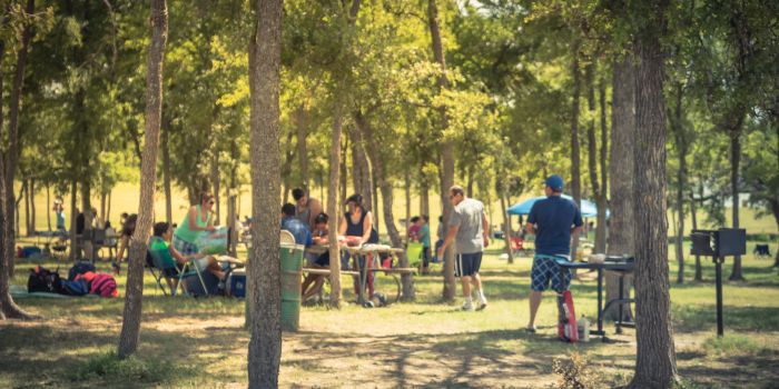 Families enjoying a shaded park campsite near Round Rock